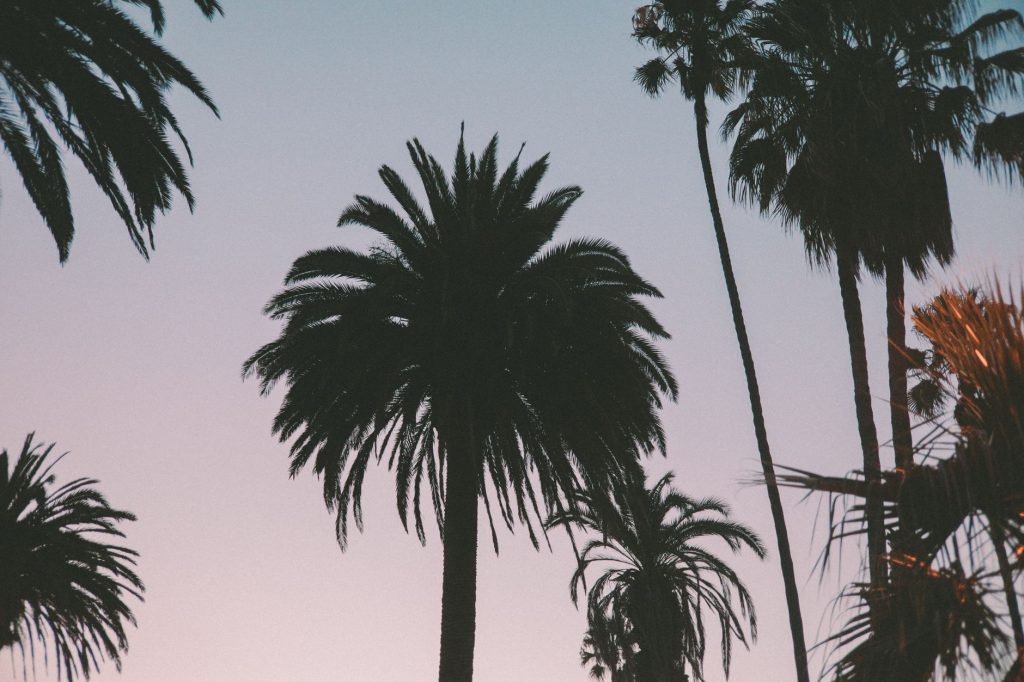 LA Companion Etiquette — Beverly Hills to Malibu